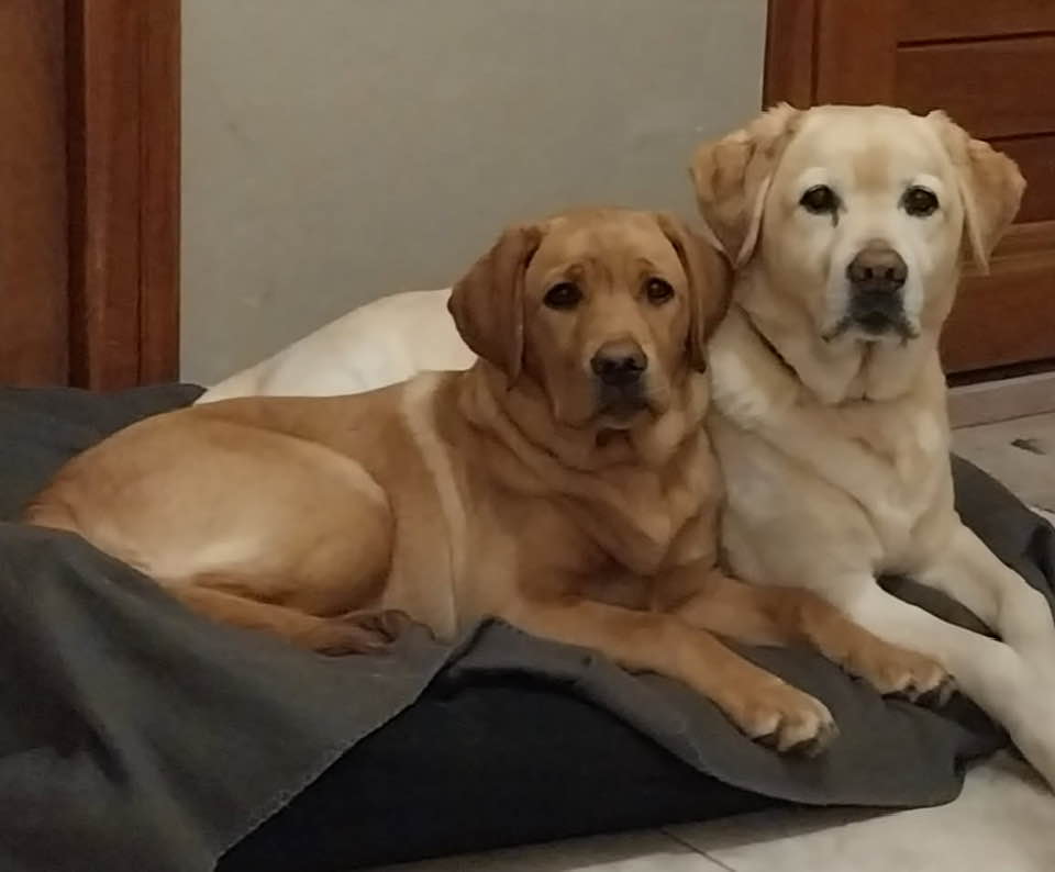 Vega et Maïa