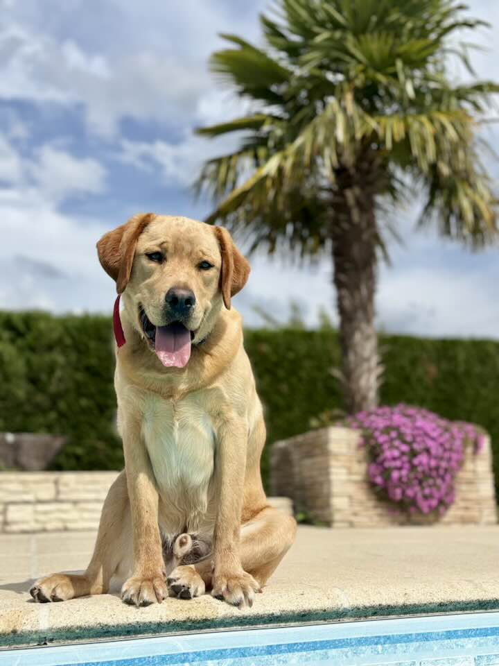 Charlie