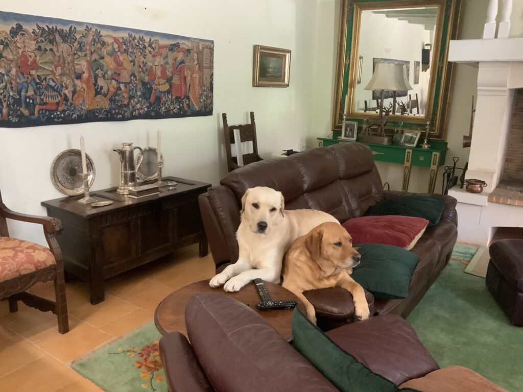 Tess et Moss
