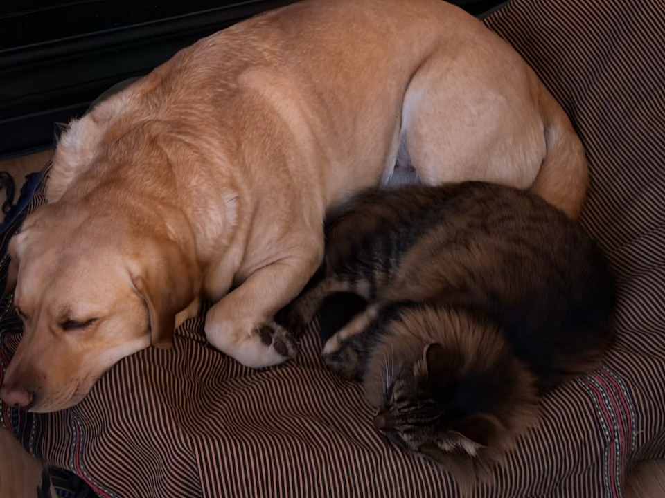 597321398_25245711805091595_1639474998101528067_n