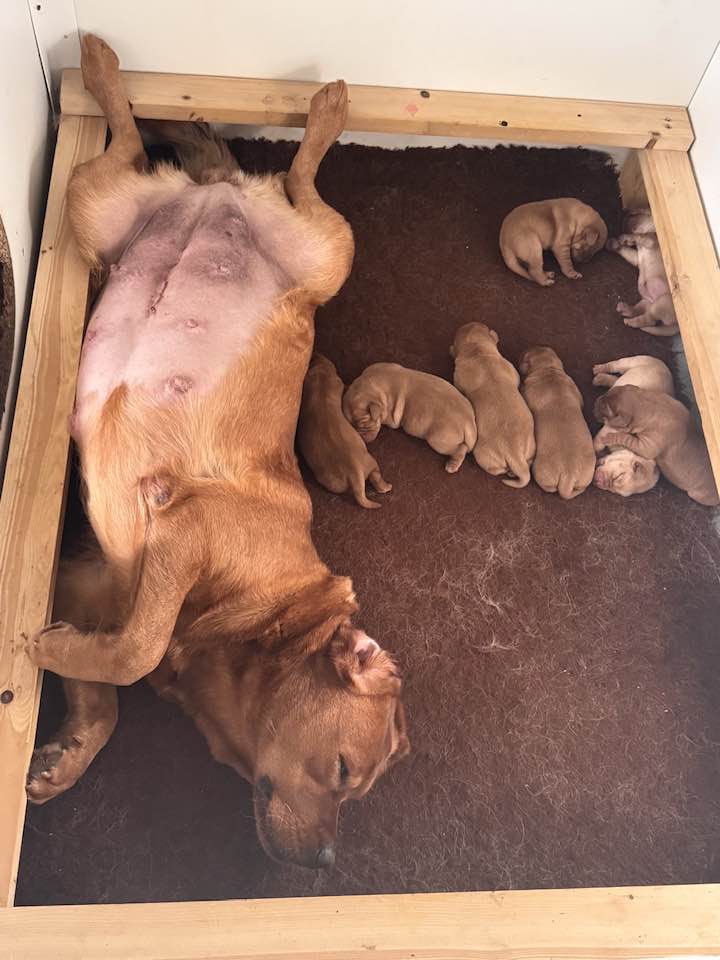 599074978_25272524965743612_2158700791660147259_n