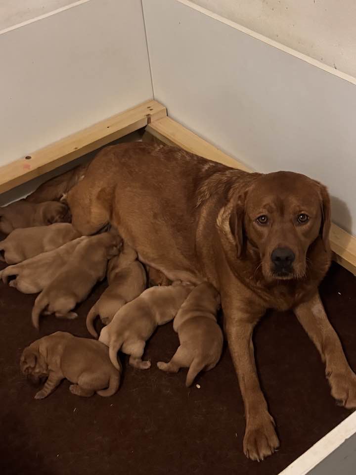 600910755_25306661352329973_8372759052777427180_n