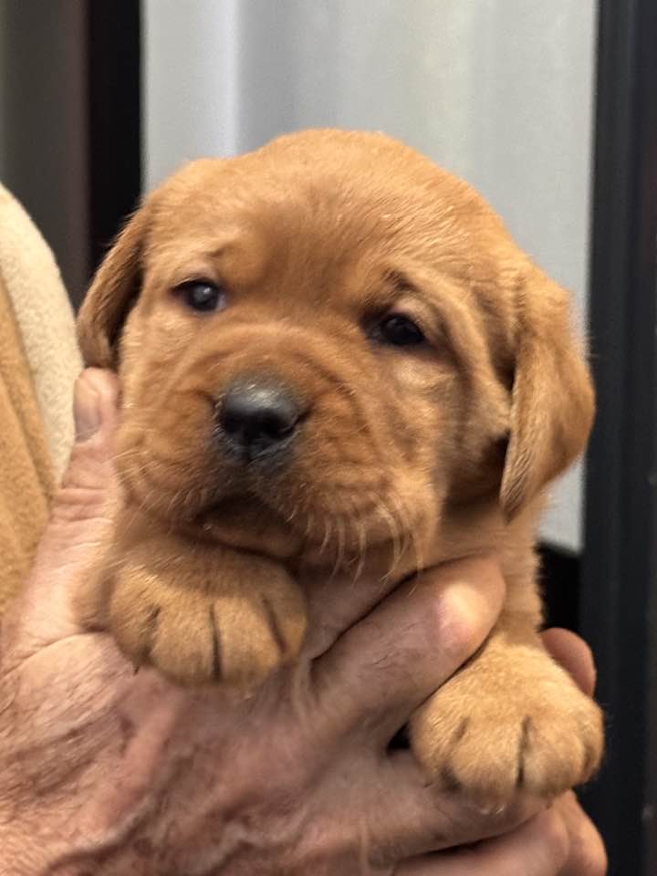 610874944_25474120298917410_50444992042193539_n