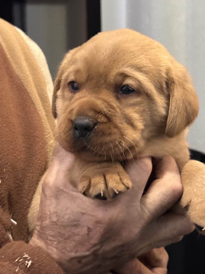 610966642_25474115428917897_6101101898064911622_n