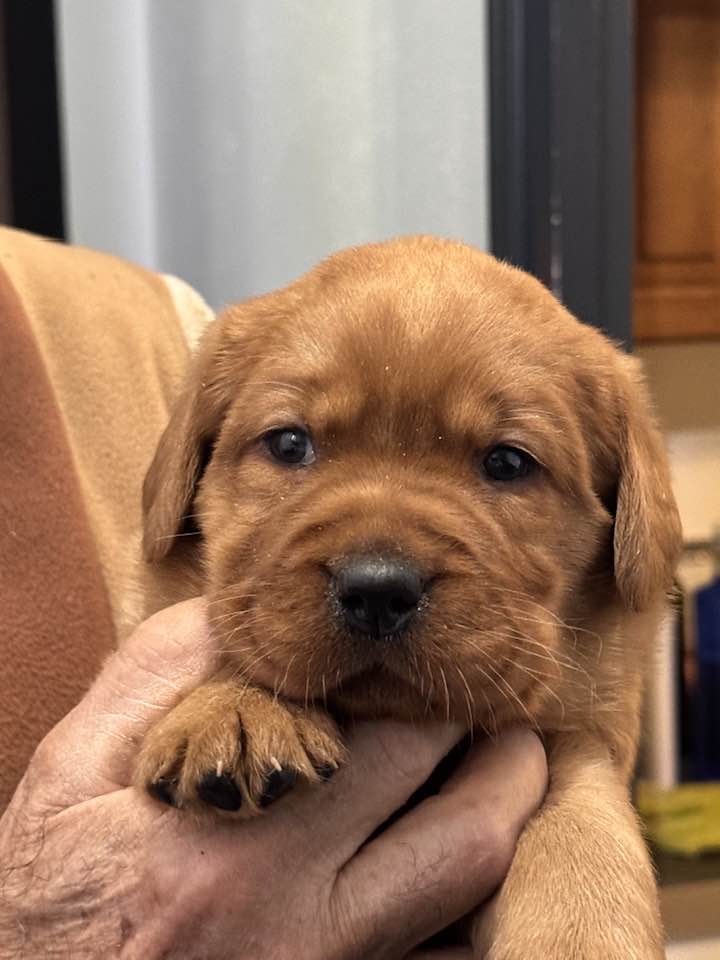 611788386_25474119898917450_7003565398227979278_n