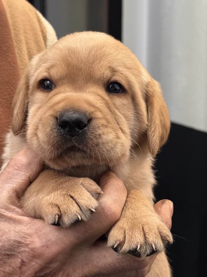 612066900_25474115198917920_1798280413963113964_n