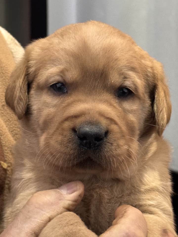 612120477_25474119668917473_7166873617333706049_n