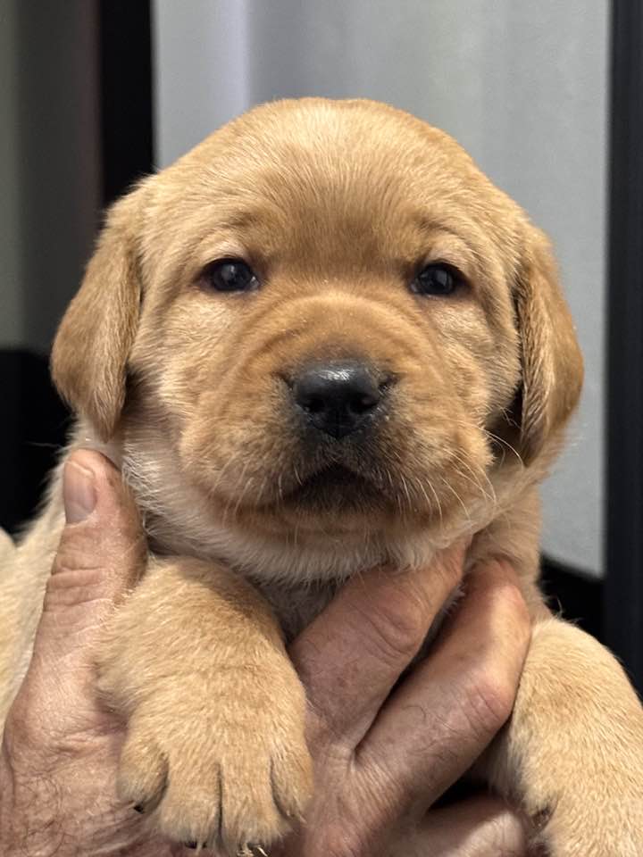 612611730_25474120525584054_1482646377837029601_n