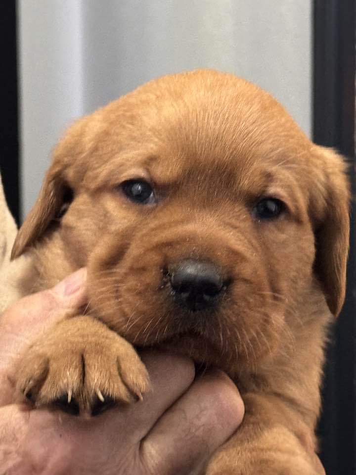 612613956_25474120092250764_2179971823941571533_n