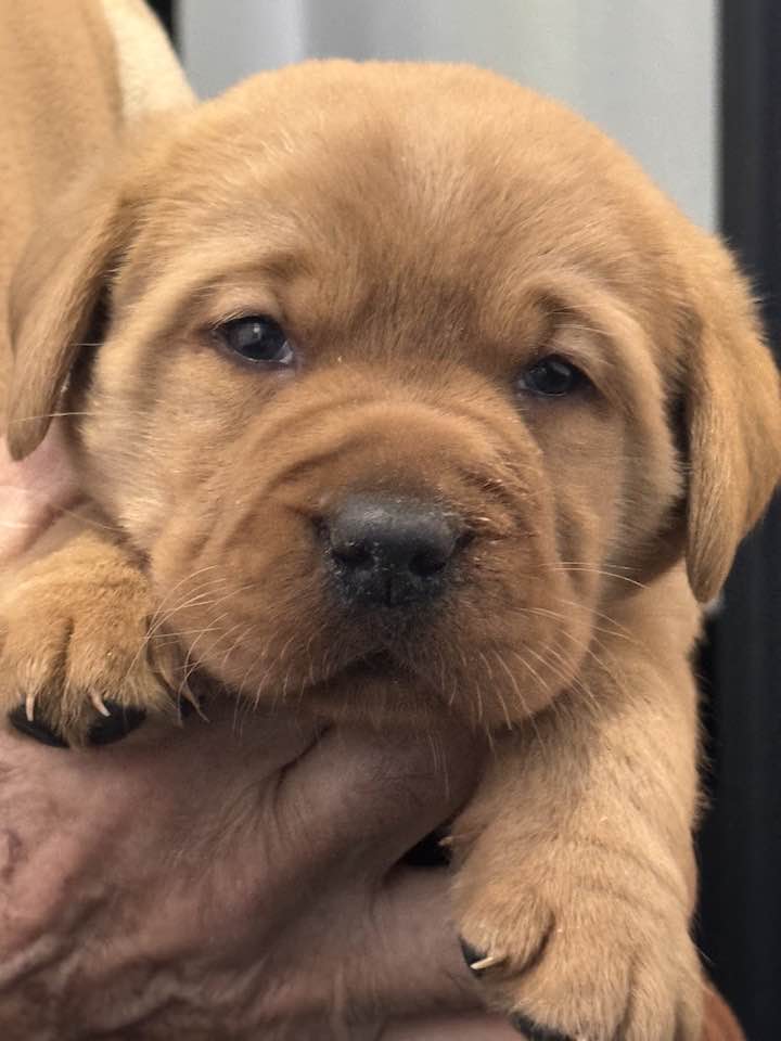 612972403_25474115662251207_3291270399410516152_n